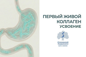 Сеченовский университет: Исследование на усвоение